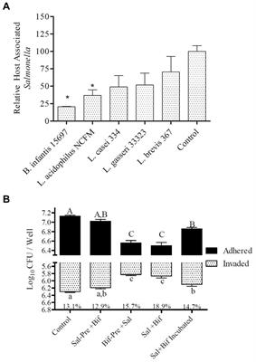 The Yin and Yang of pathogens and probiotics: interplay between Salmonella enterica sv. Typhimurium and Bifidobacterium infantis during co-infection